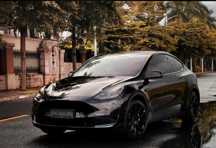 特斯拉家庭车_特斯拉车主要求_特斯拉Model Y如何满足家庭出行需求？